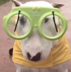 Meet your Posher, Ethan